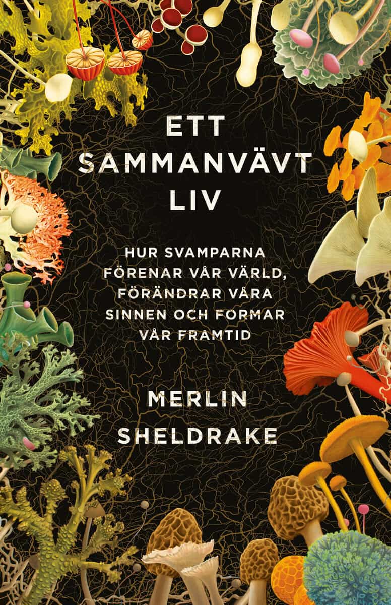 Merlin Sheldrake : Ett sammanvävt liv : hur svamparna förenar vår värld, förändrar våra sinnen och formar vår framtid