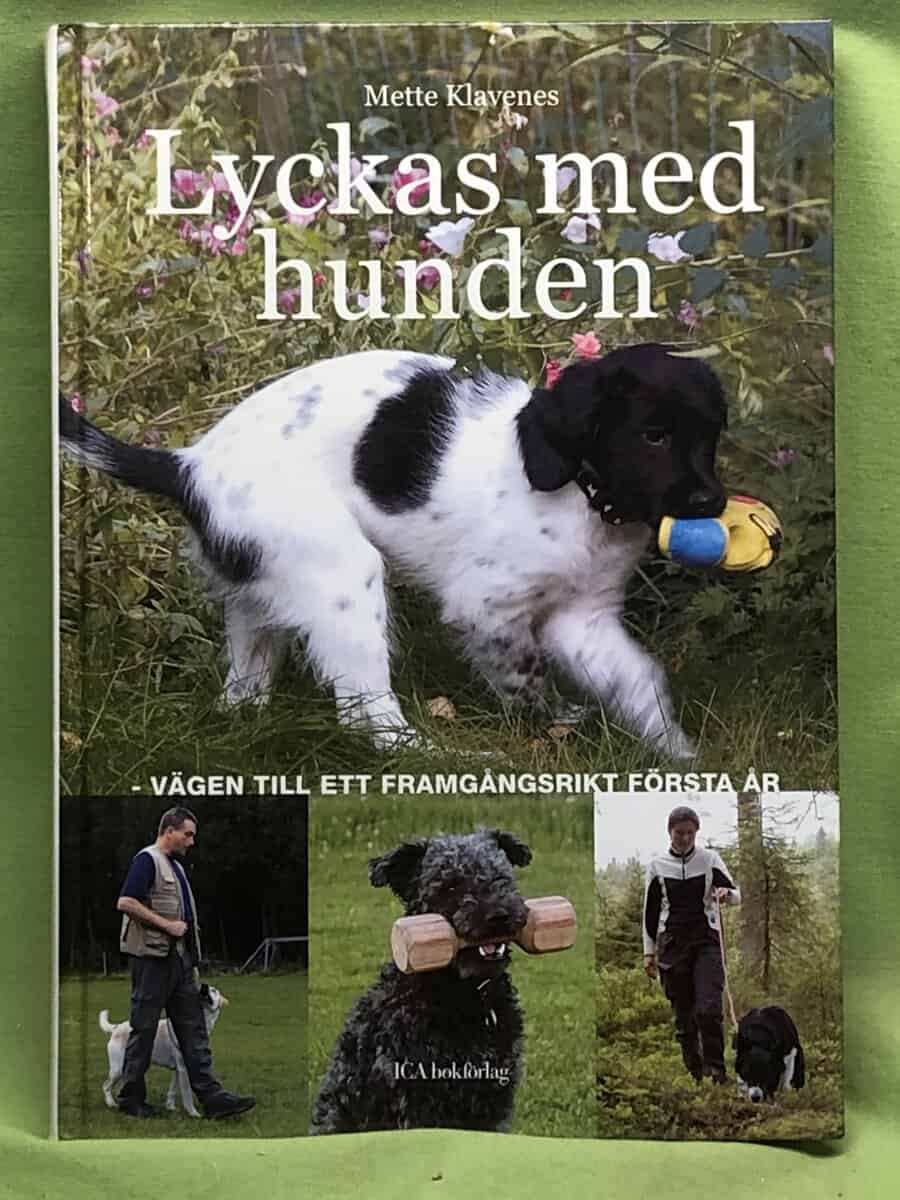 Mette Klavenes : Lyckas med hunden