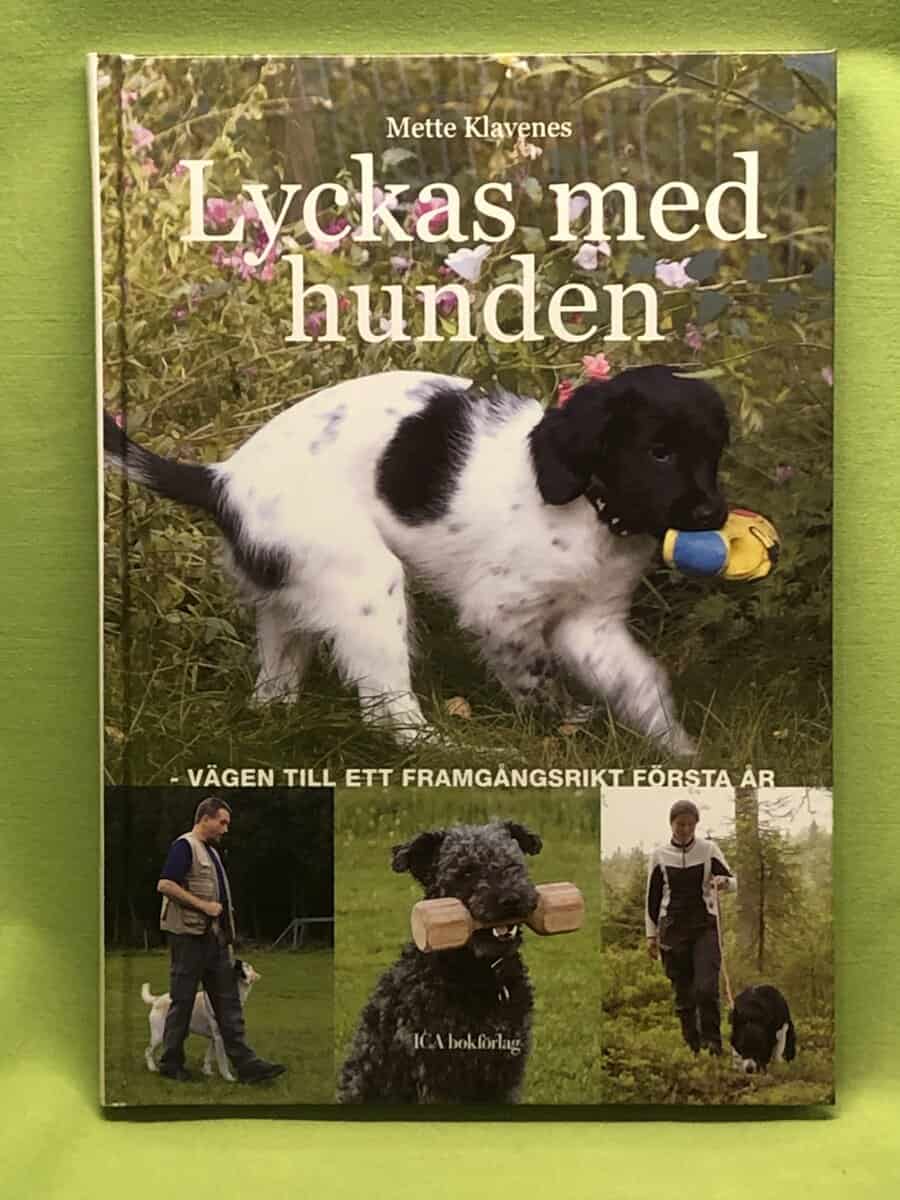 Mette Klavenes : Lyckas med hunden