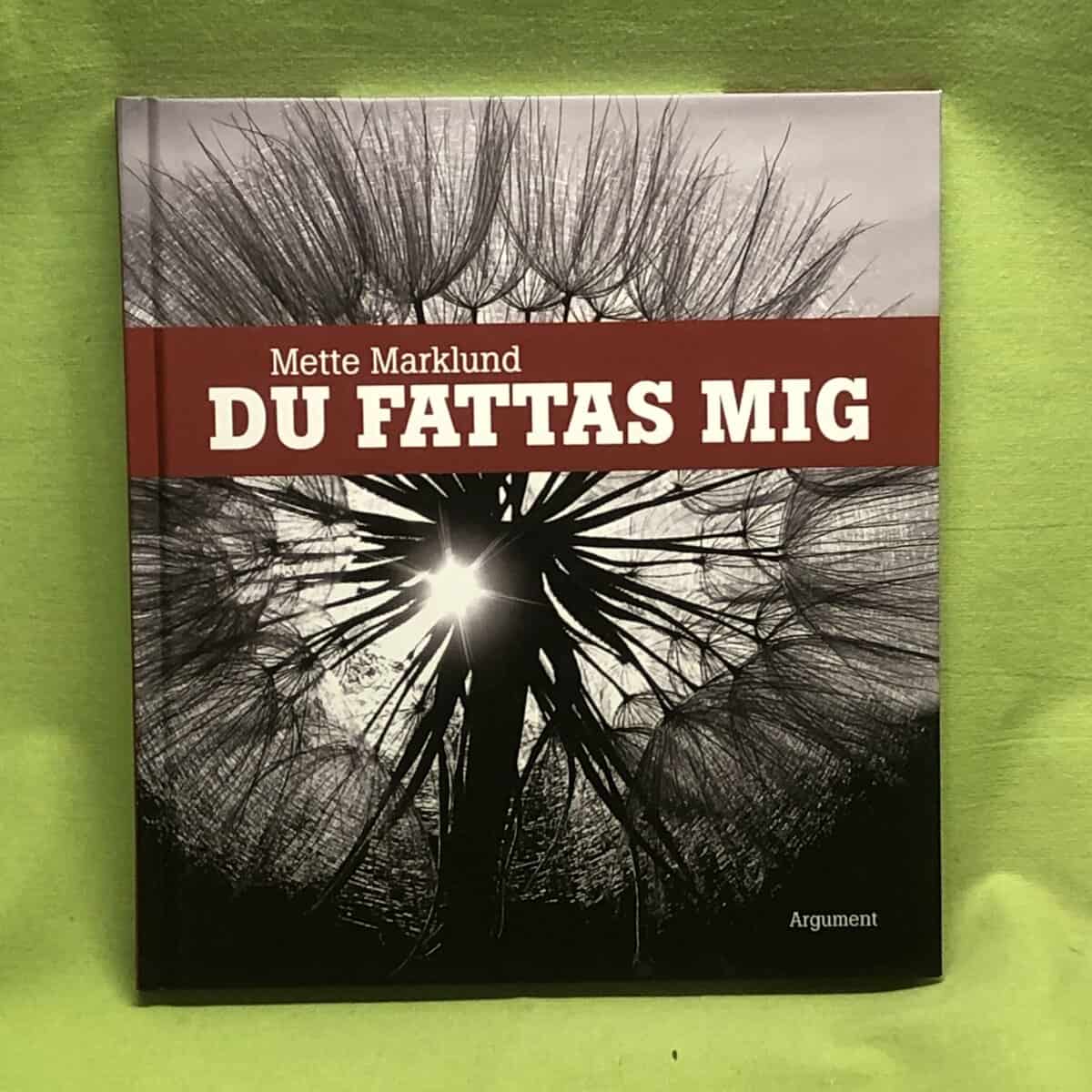 Mette Marklund : Du fattas mig