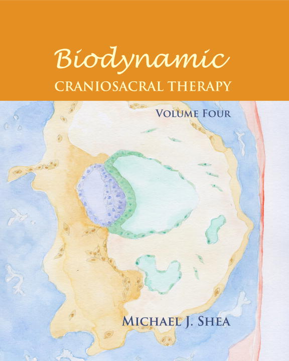 Michael J. Phd Shea : Biodynamic Craniosacral Therapy, Volume Four