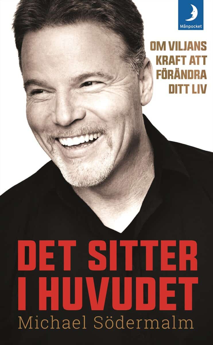 Michael Södermalm : Det sitter i huvudet : om viljans kraft att förändra ditt liv