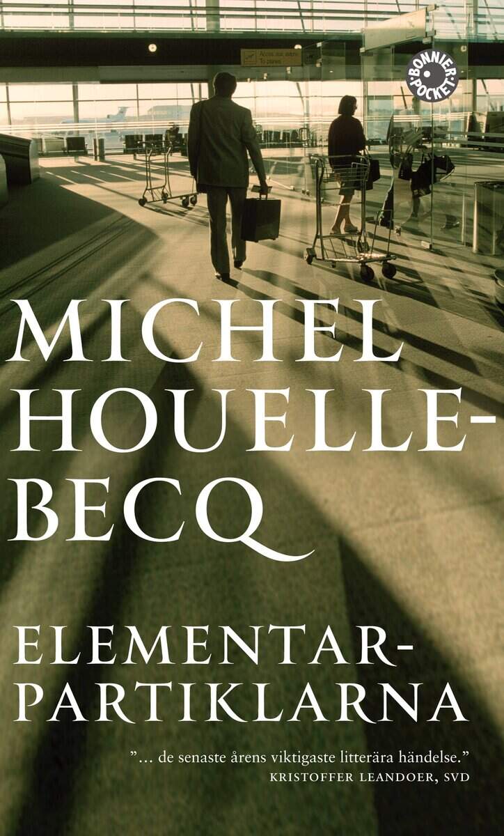 Michel Houellebecq : Elementarpartiklarna