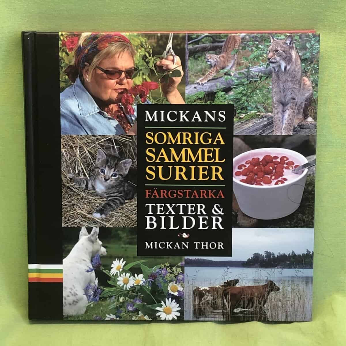 Mickan Thor : Mickans somriga sammelsurier