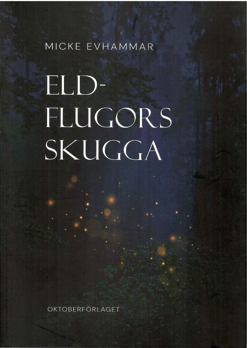 Micke Evhammar : Eldflugors skugga