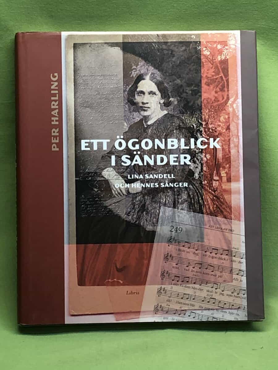 Midhat Ajanovic : Värstingen från Sarajevo