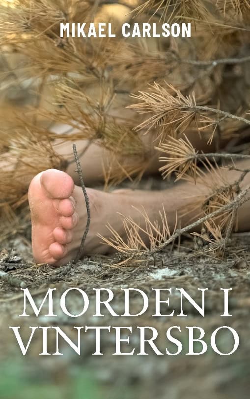Mikael Carlson : Morden i Vintersbo