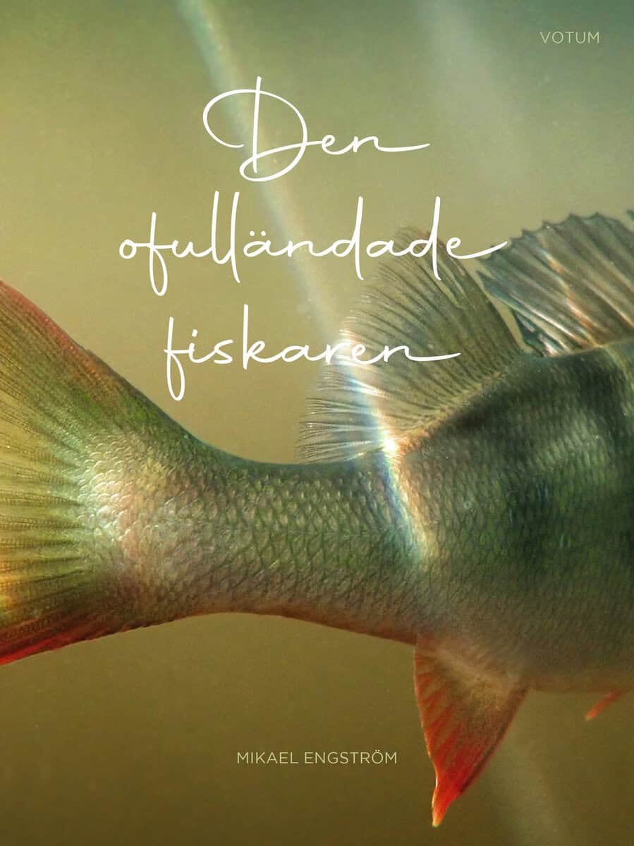 Mikael Engström : Den ofulländade fiskaren