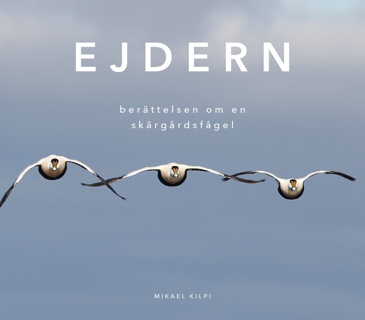 Mikael Kilpi : Ejdern - berättelsen om en skärgårdsfågel