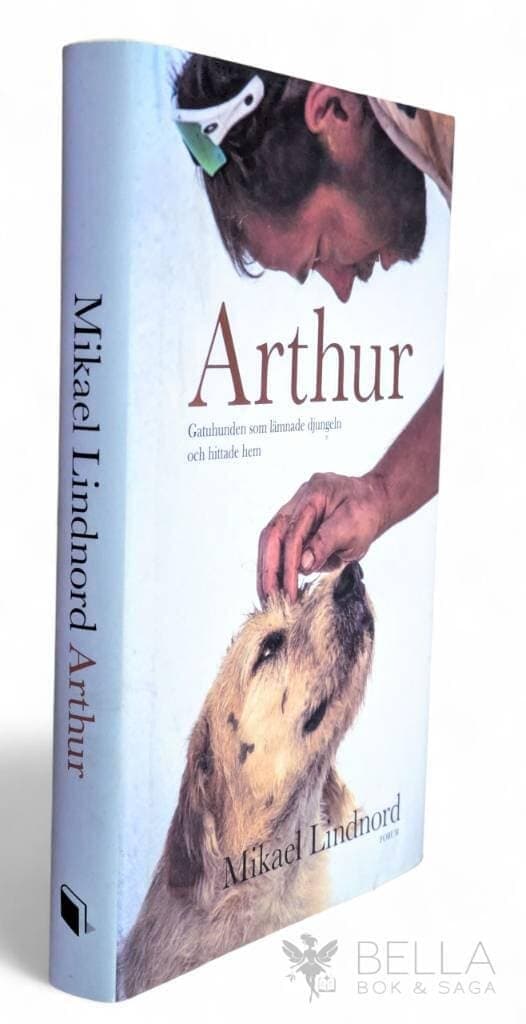 Mikael Lindnord : Arthur