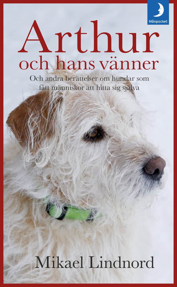 Mikael Lindnord : Arthur och hans vänner : och andra berättelser om hundar som fått människor att hitta sig själva