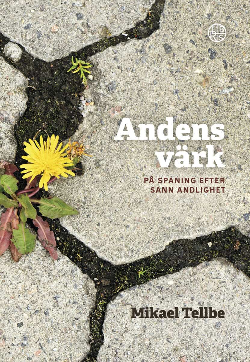 Mikael Tellbe : Andens värk : på spaning efter sann andlighet