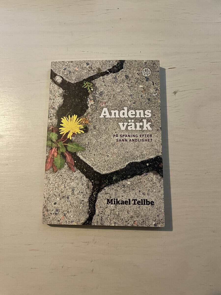 Mikael Tellbe : Andens värk