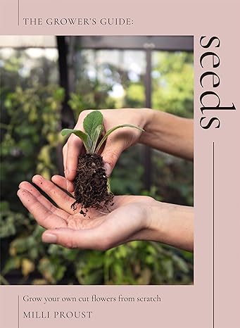 Milli Proust : Seeds