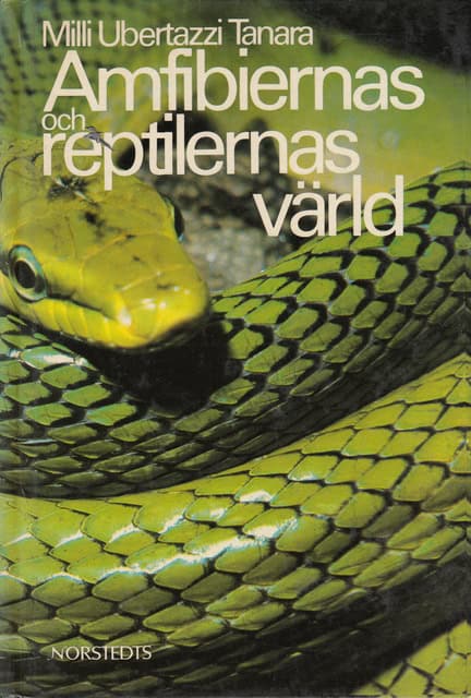 Milli Ubertazzi Tanara : Amfibiernas och reptilernas värld.
