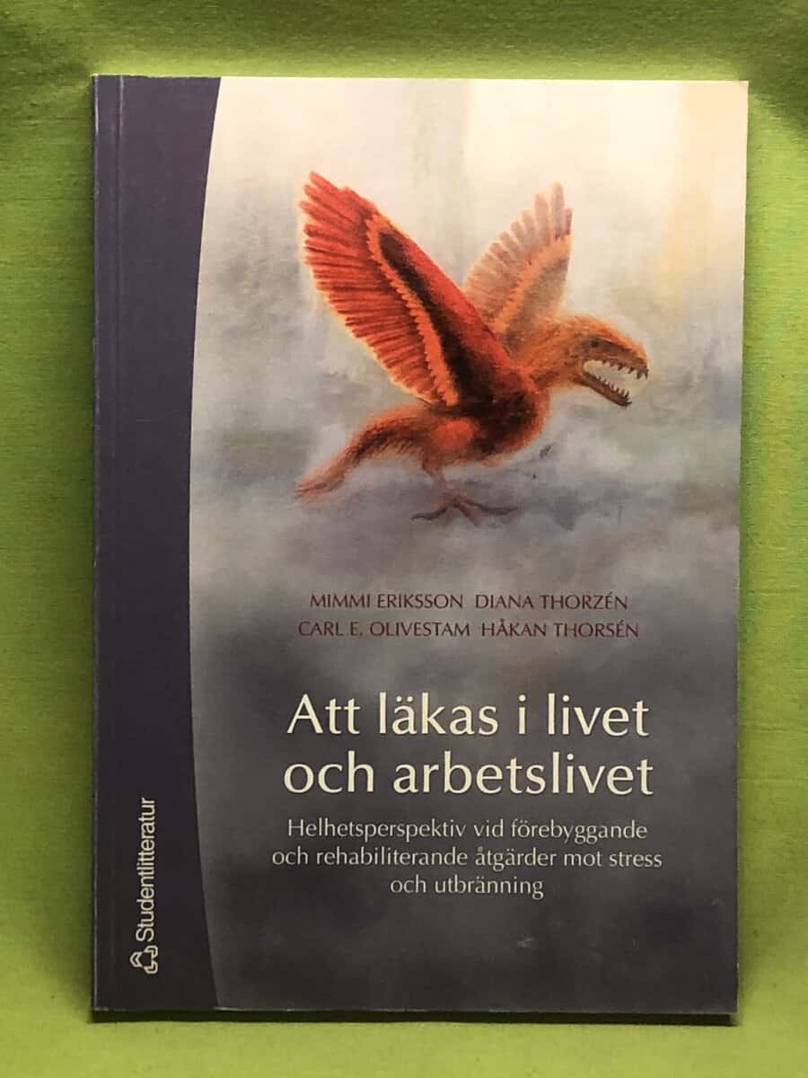 Mimmi Eriksson : Att läkas i livet och arbetslivet