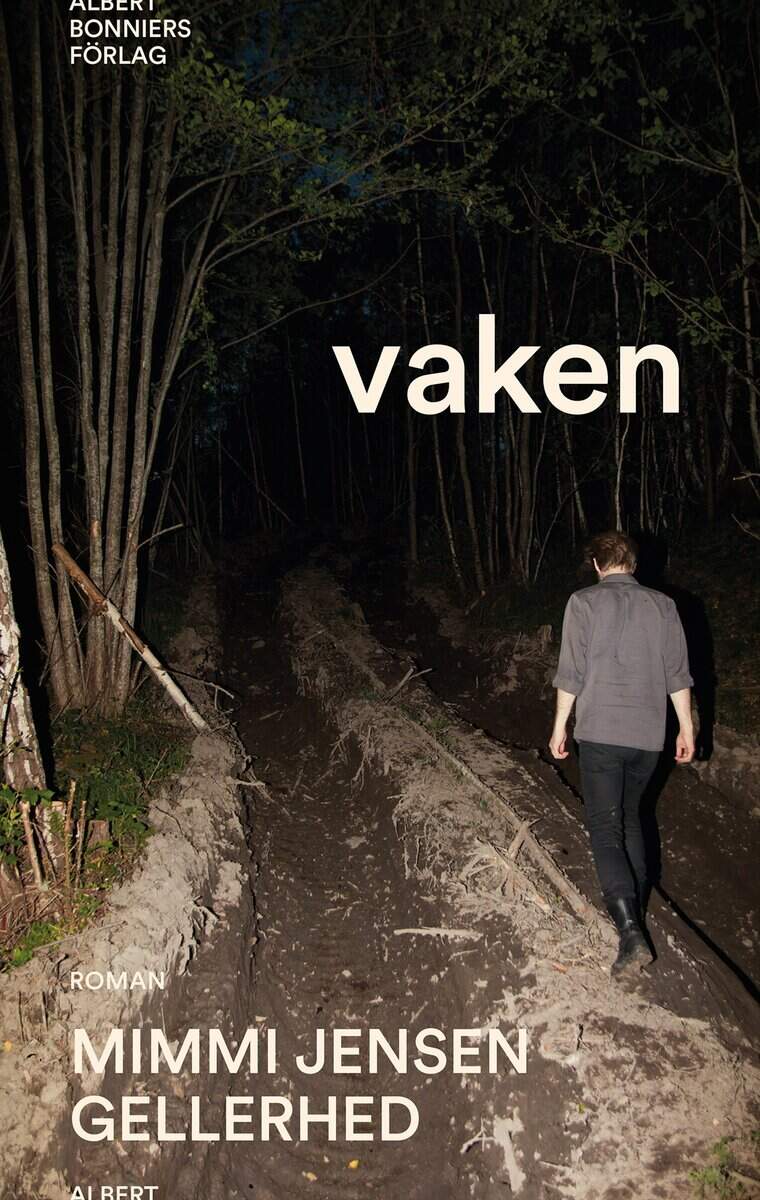 Mimmi Jensen Gellerhed : Vaken