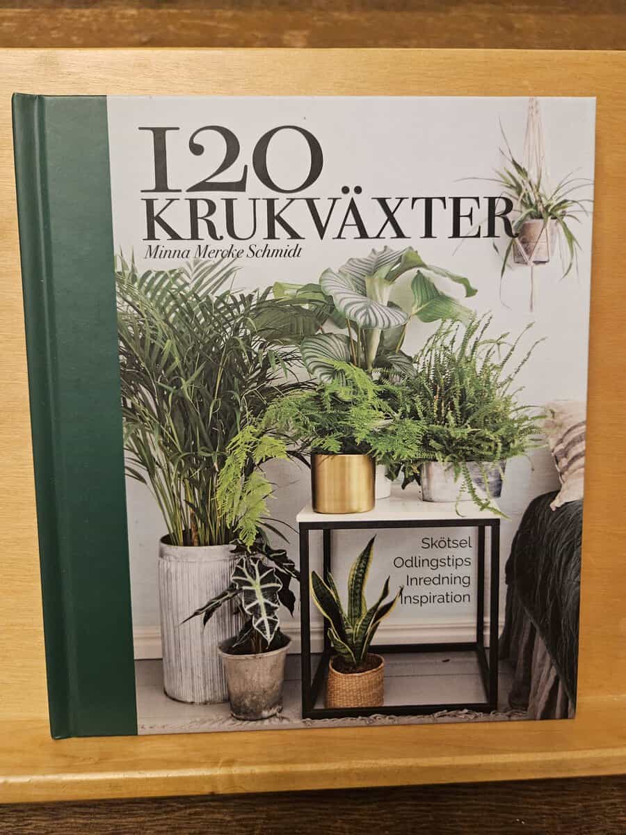Minna Mercke Schmidt : 120 krukväxter