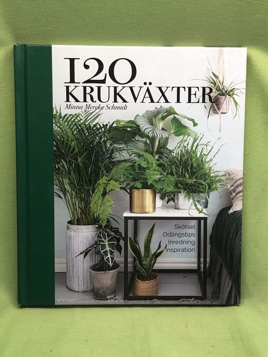 Minna Mercke Schmidt : 120 krukväxter