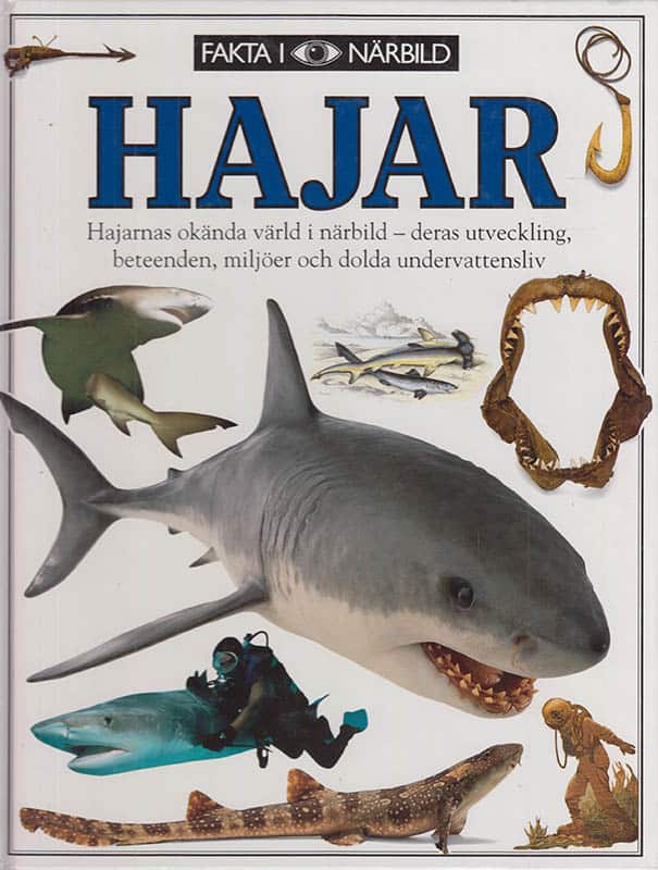 Miranda MacQuitty : Hajar