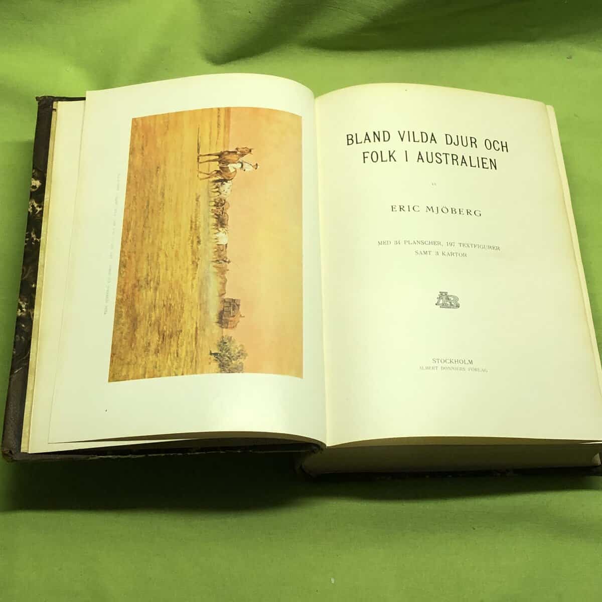 Mjöberg Eric : bland vilda djur och folk i Australien