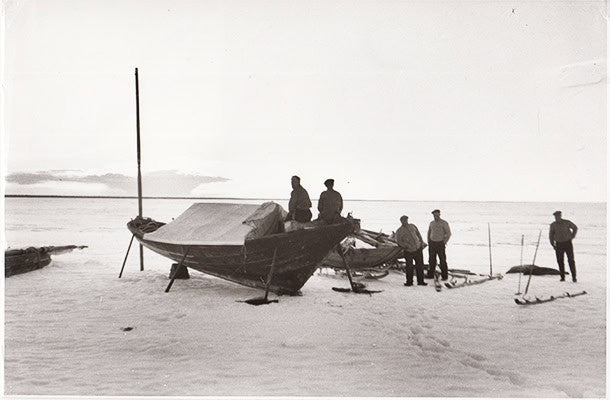 Mogens Jansen : Sælen - et liv i havet (originalfotografi av Bertil Ekholtz)