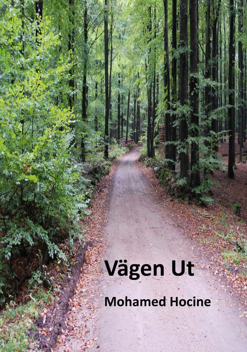 Mohamed Hocine : Vägen ut