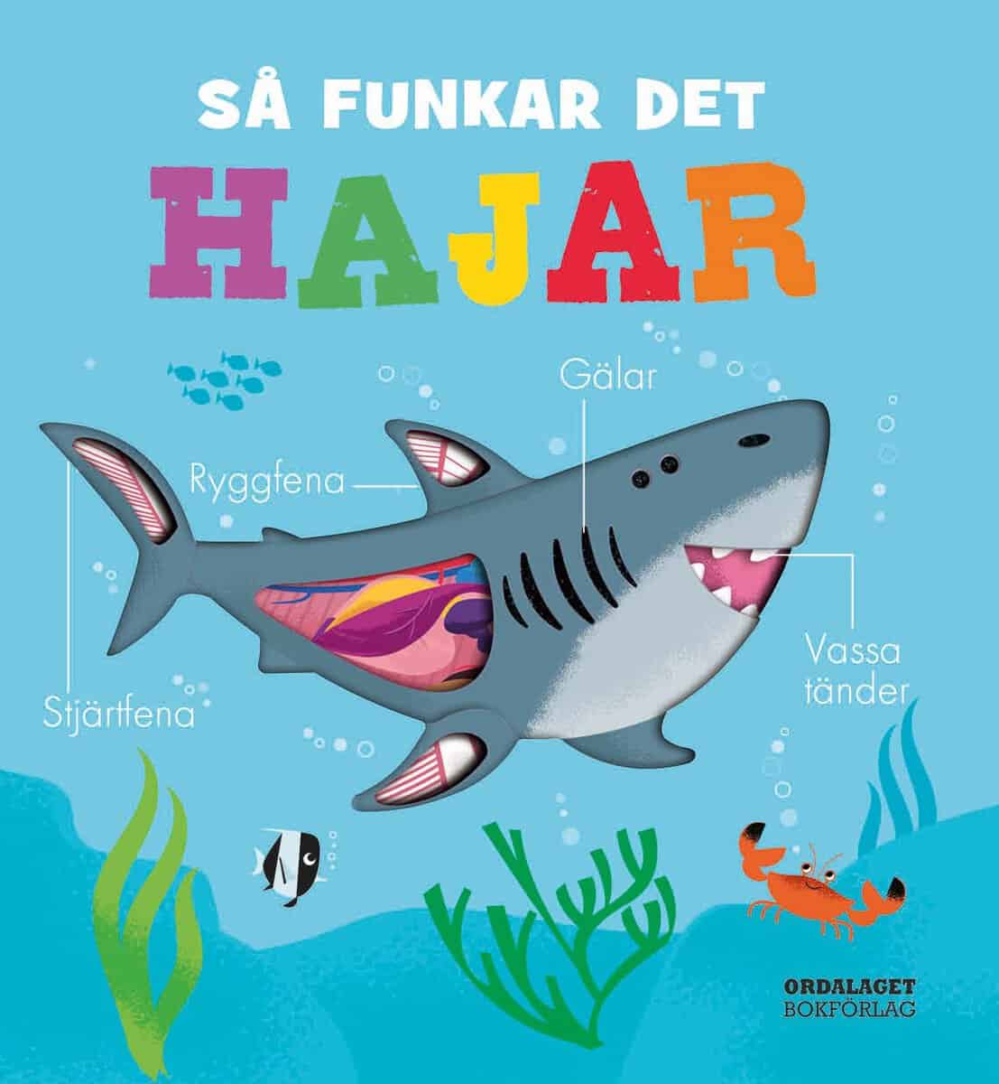 Molly Littleboy : Så funkar det : hajar