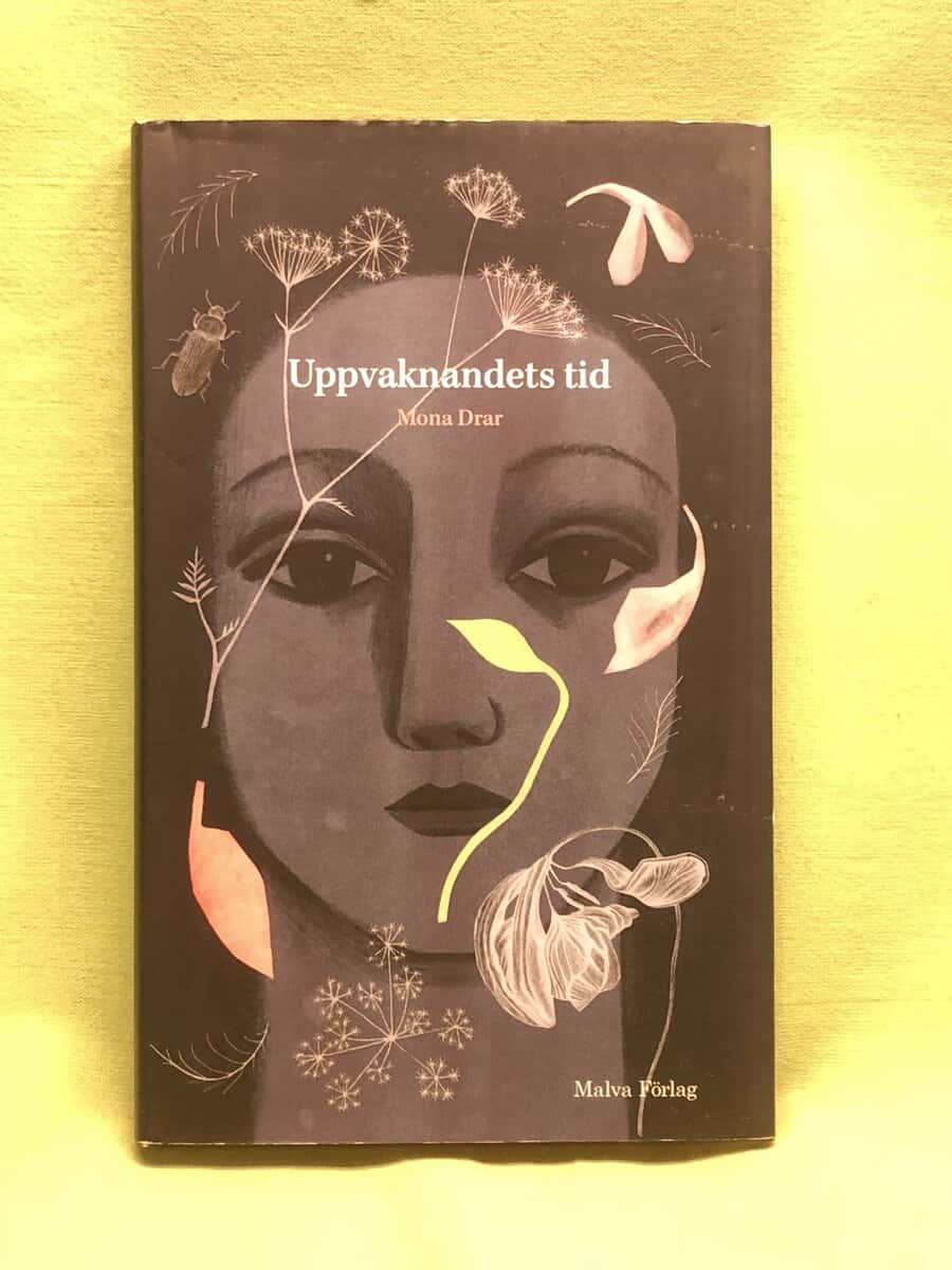 Mona Drar : Uppvaknandets tid