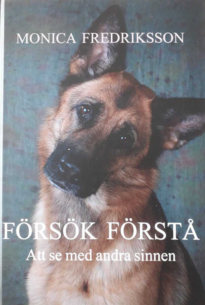 Monica Fredriksson : Försök förstå : att se med andra sinnen