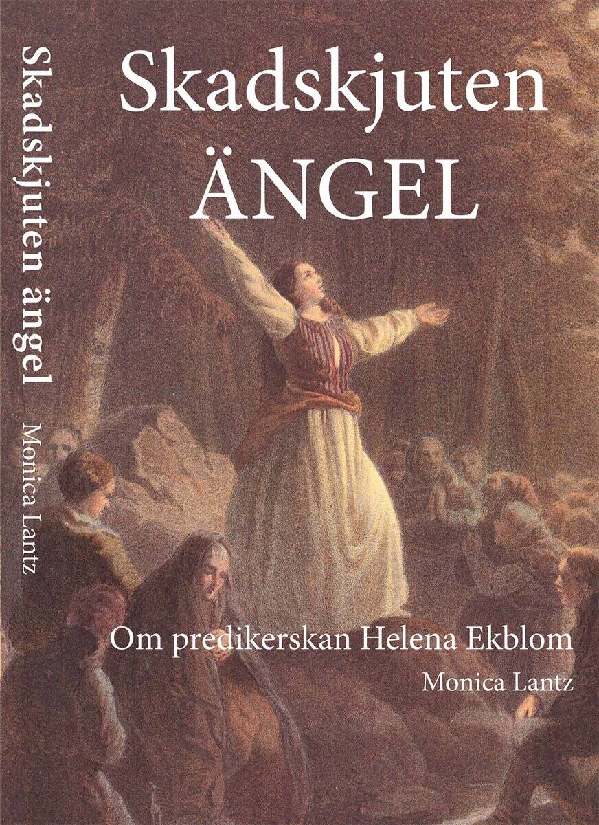 Monica Lantz : Skadskjuten ängel