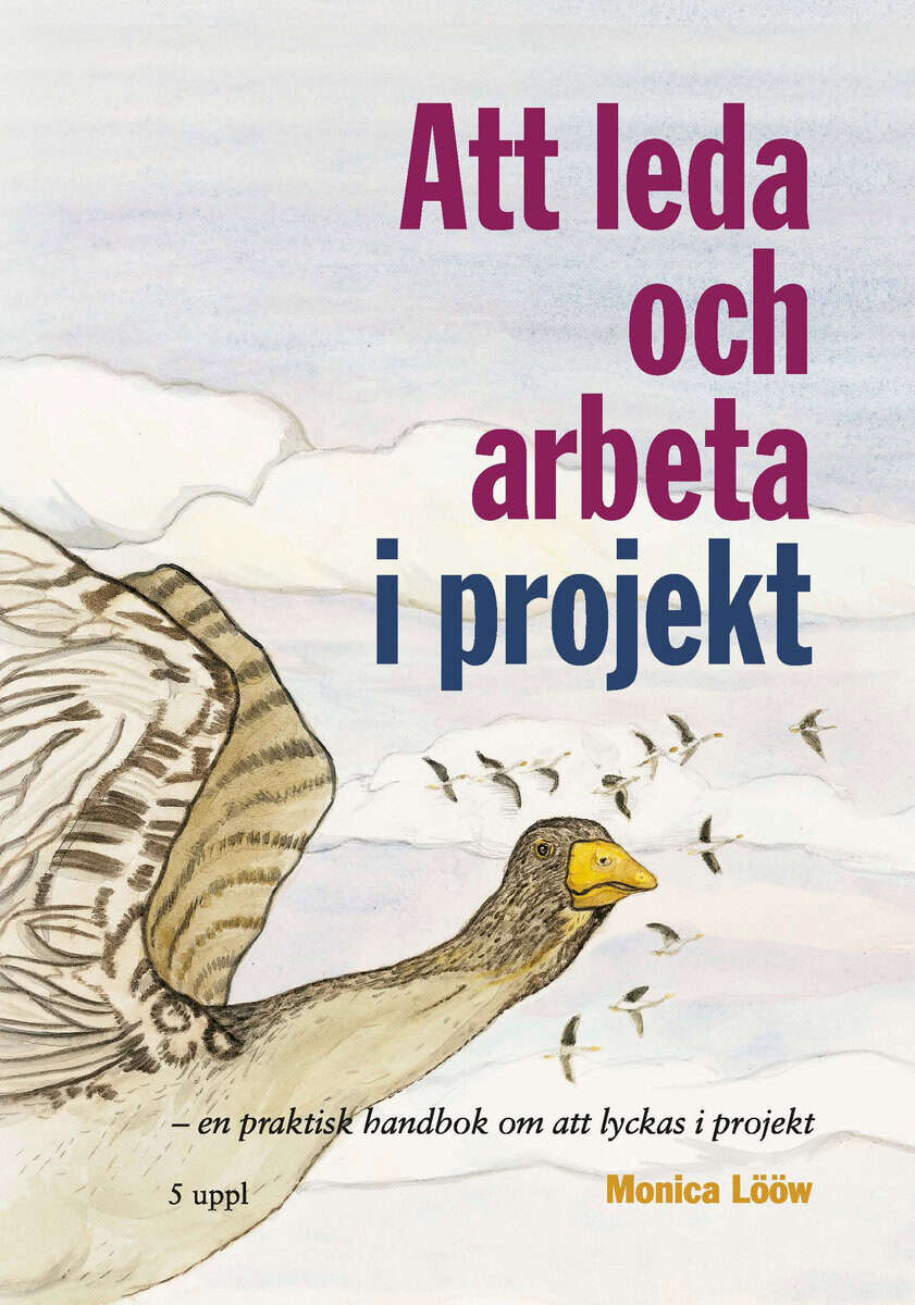 Monica Lööw : Att leda och arbeta i projekt : en praktisk handbok om att lyckas i projektet
