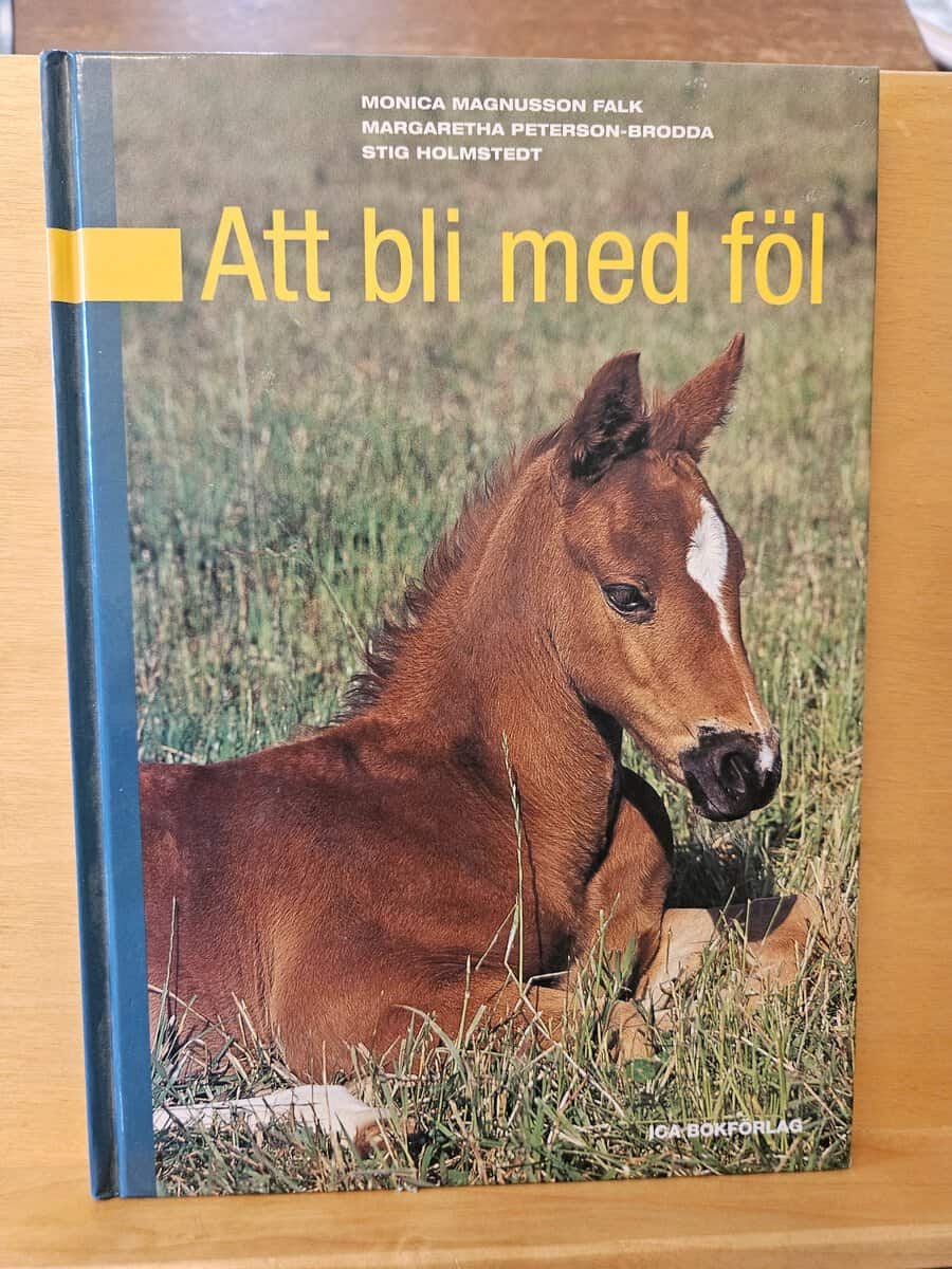 Monica Magnusson Falk : Att bli med föl