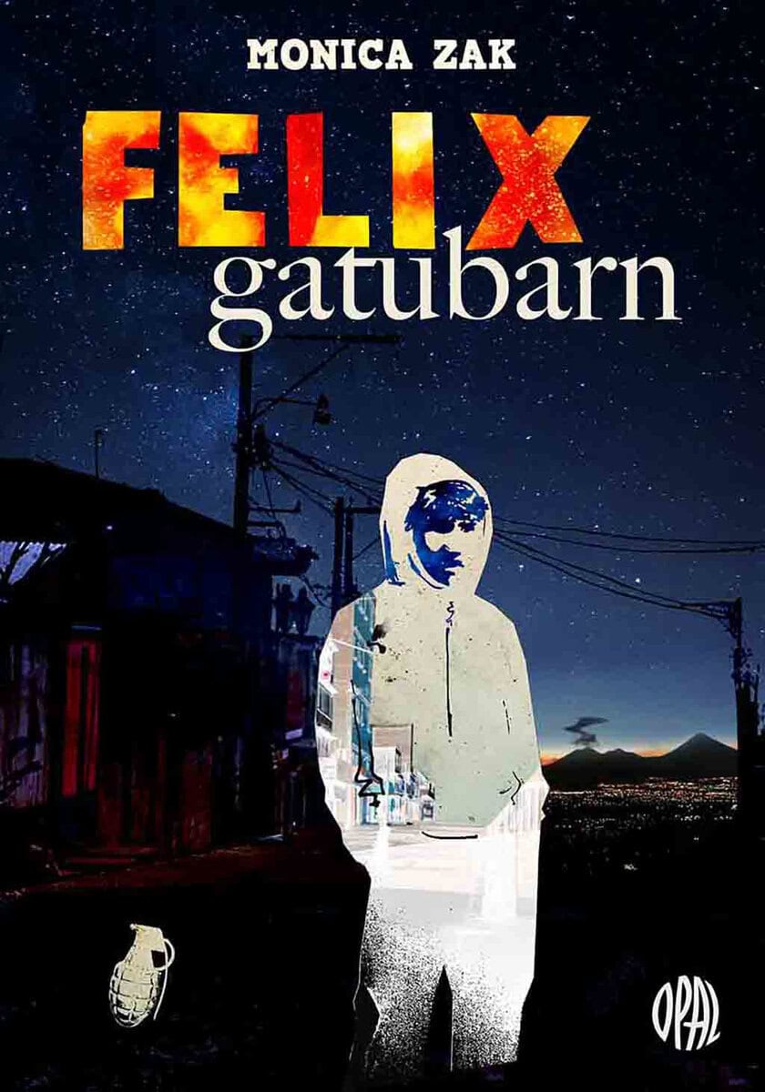 Monica Zak : Felix gatubarn