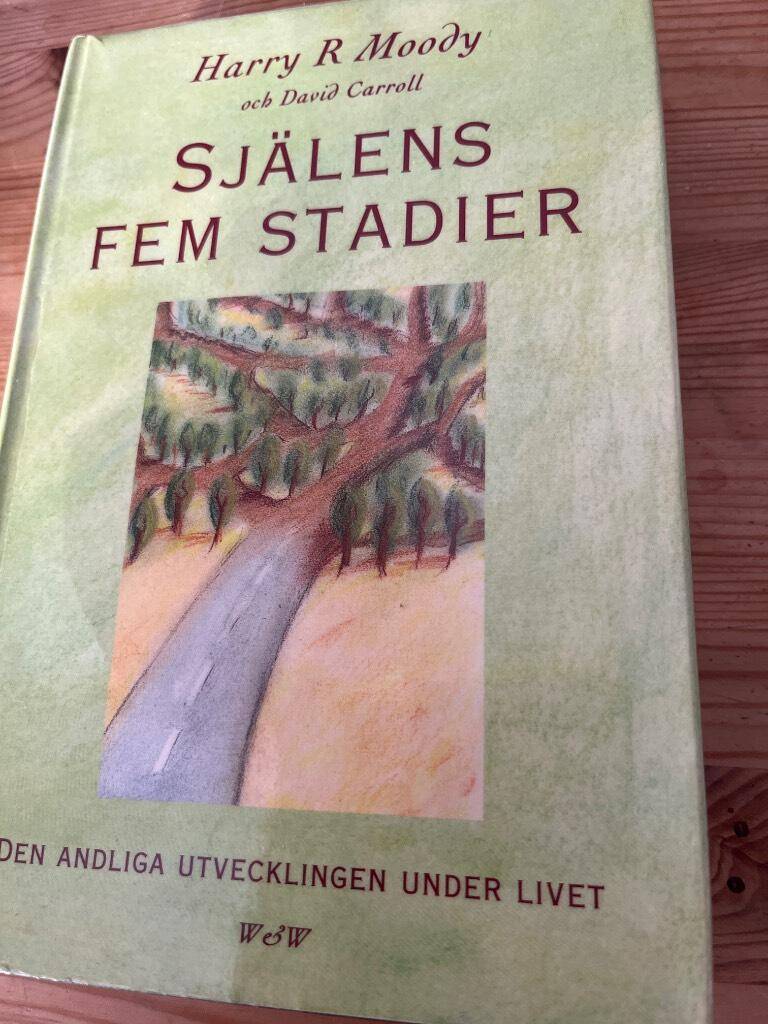 Moody, Harry R. ; Carroll, David ; Zetterström, Gun : Själens fem stadier