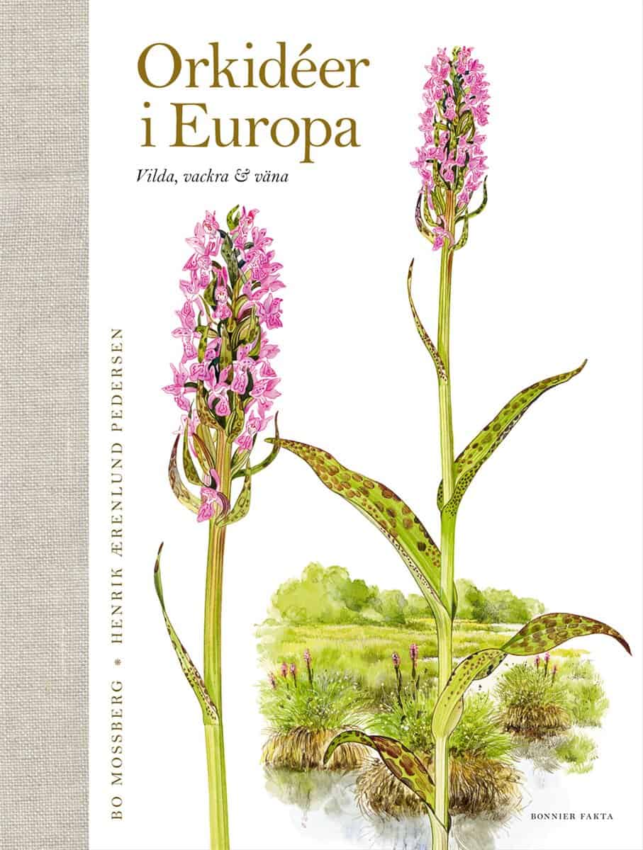 Mossberg, Bo ; Pedersen, Henrik Aerenlund : Orkidéer i Europa : vilda, vackra & väna