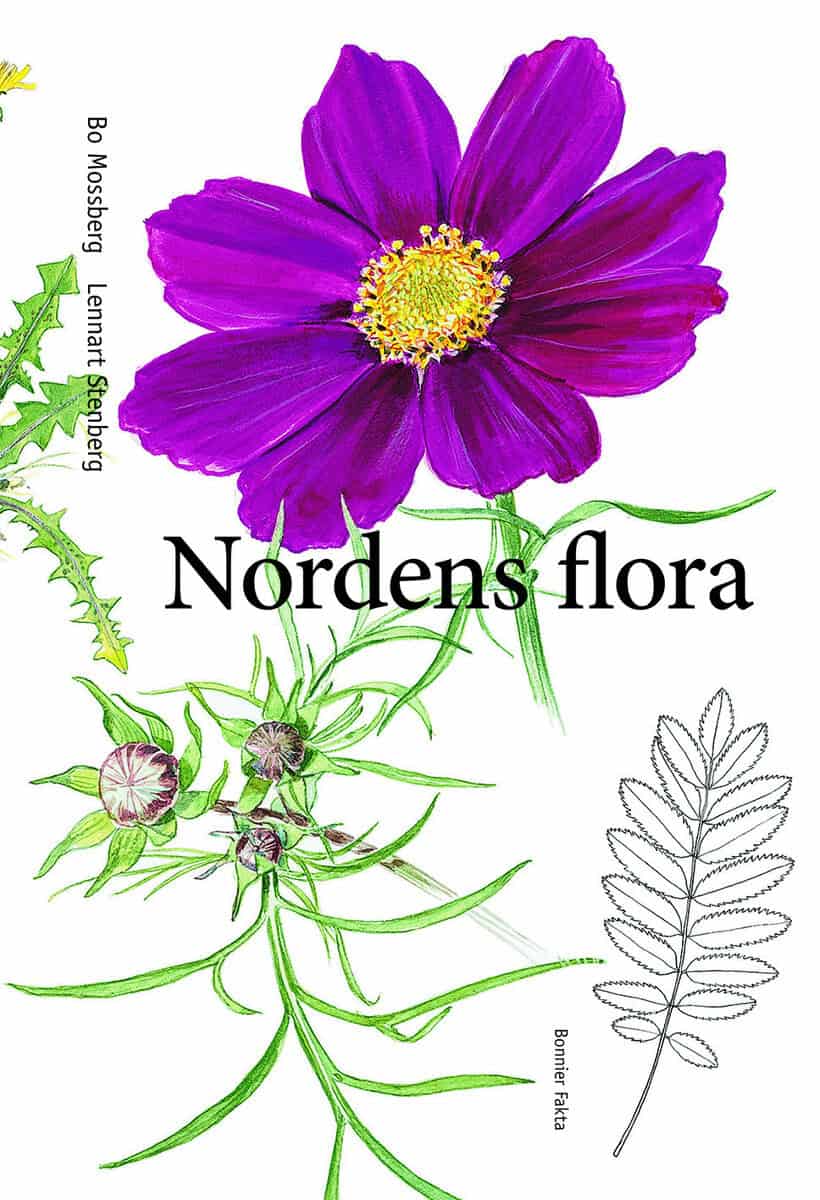 Mossberg, Bo ; Stenberg, Lennart : Nordens flora