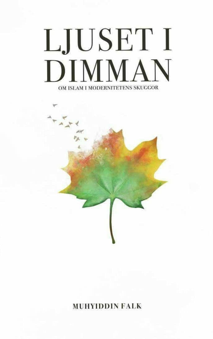 Muhyiddin Falk : Ljuset i dimman
