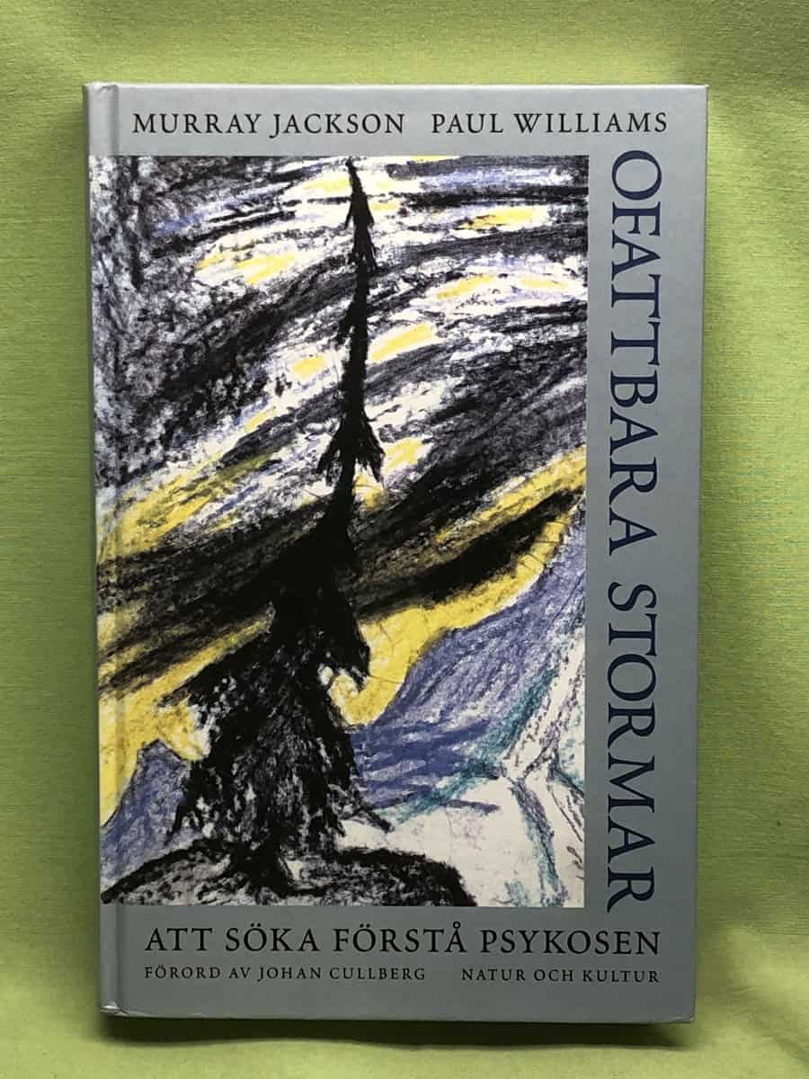 Murray Jackson : Ofattbara stormar