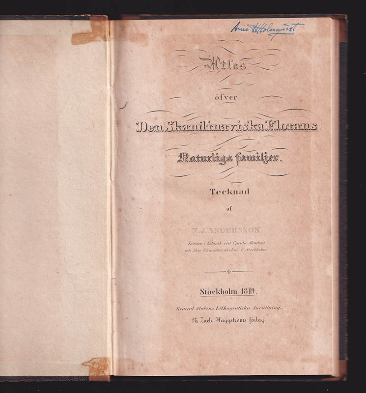 N. J. Andersson : Atlas öfver den Skandinaviska Florans Naturliga familjer