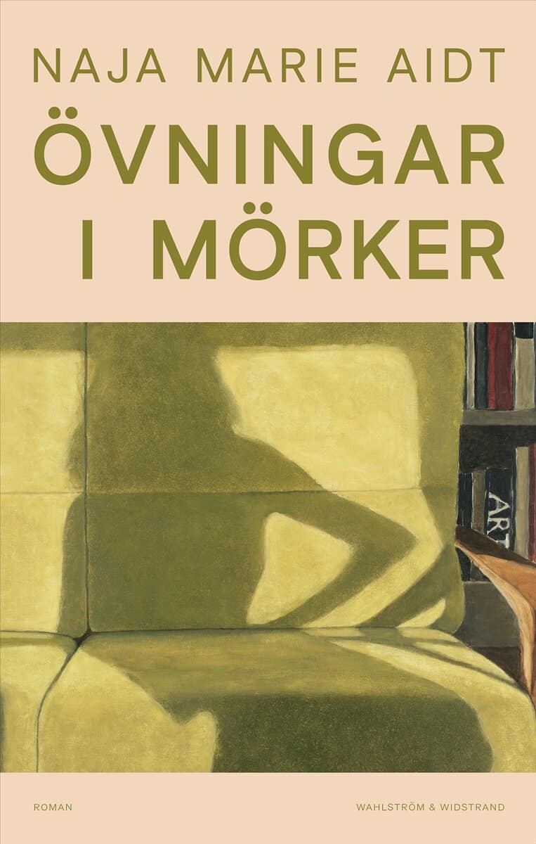 Naja Marie Aidt : Övningar i mörker