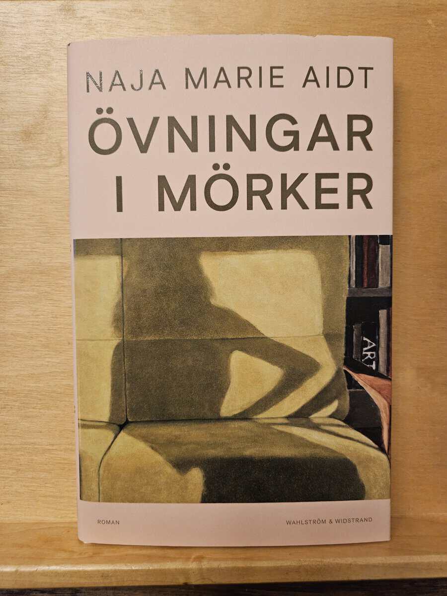 Naja Marie Aidt : Övningar i mörker