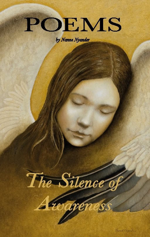 Nanne Nyander : The silence of awareness