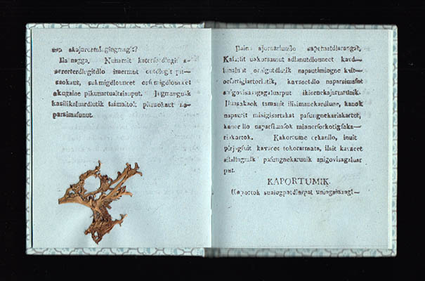 Naparsimasonut ikiortiksat