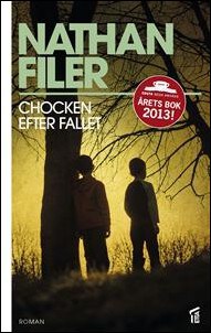 Nathan Filer : Chocken efter fallet