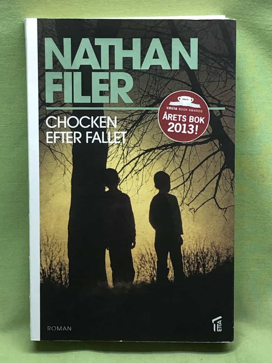 Nathan Filer : Chocken efter fallet
