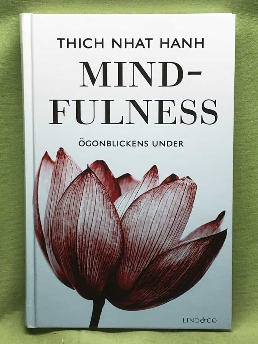 Nhât H nh : Mindfulness