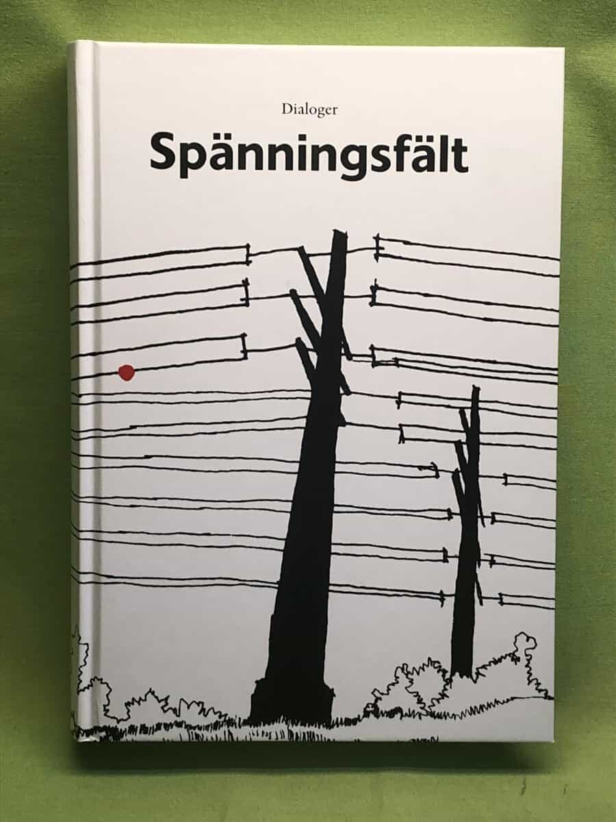Niclas Fock : Spänningsfält
