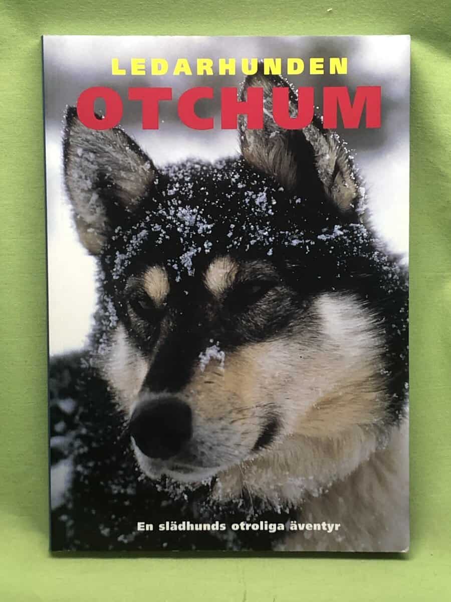 Nicolas Vanier : Ledarhunden Otchum