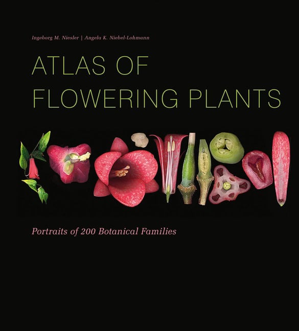 Niesler , Ingeborg M ; Niebel-L, Angela K : Atlas Of Flowering Plants